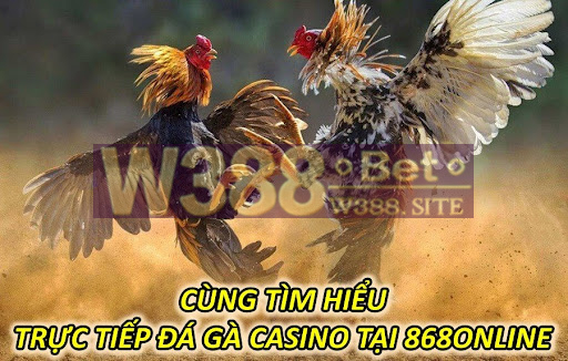 Cùng Tìm Hiểu Trực Tiếp Đá Gà Casino Tại 868 Online