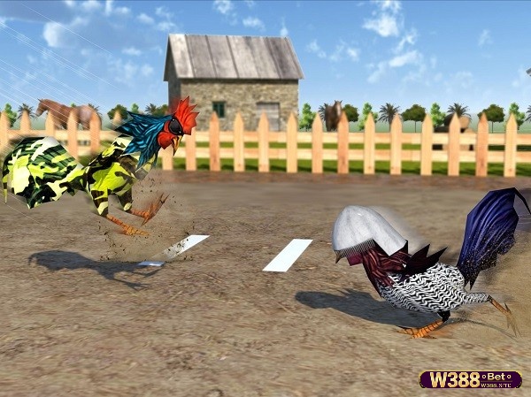 Đá gà online tại Angry Rooster Fighting Hero
