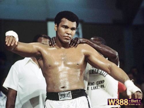 Muhammad Ali là một trong những võ sĩ đấu boxing chuyên nghiệp