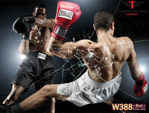 Cùng w388 tìm hiểu về bộ môn thể thao Boxing là gì nhé